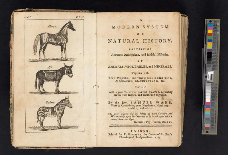 A Modern system of natural history : containing accurate descriptions, and faithful histories, of animals, vegetables, and minerals. Together with their properties, and various uses in medicine, mechanics,manufactures, &c. / illustrated with a great variety of copper-plates, accurately drawn from nature, ,and beautifully engraved; by the Rev. Samuel Ward, Vicar of Cotterstock, cum Glapthorne, Northamptonshire; and others. by Ward, Samuel