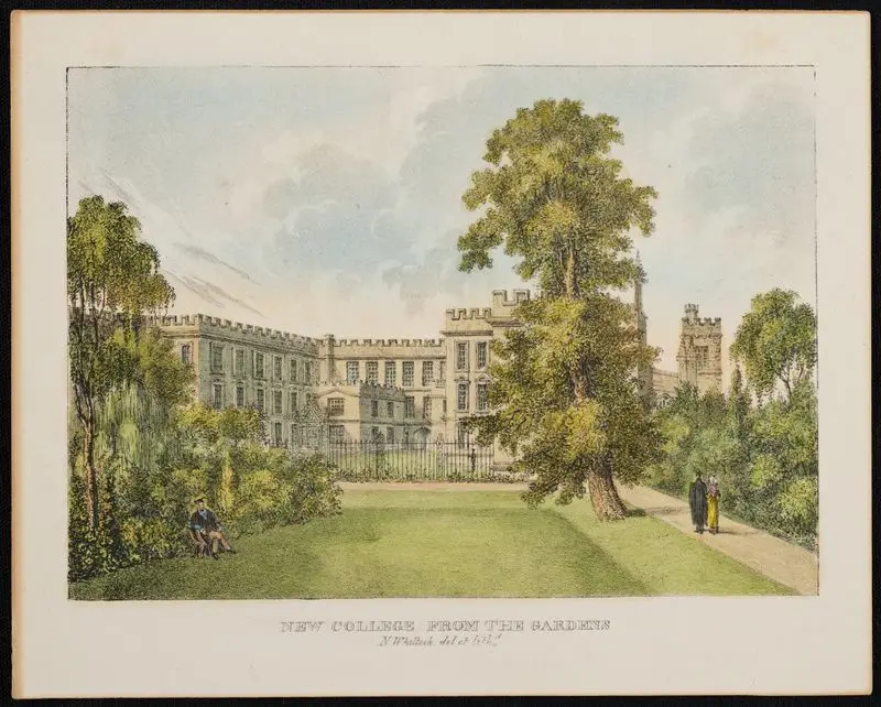 New College from the gardens. by Whittock, N. (Nathaniel), 1791-1860