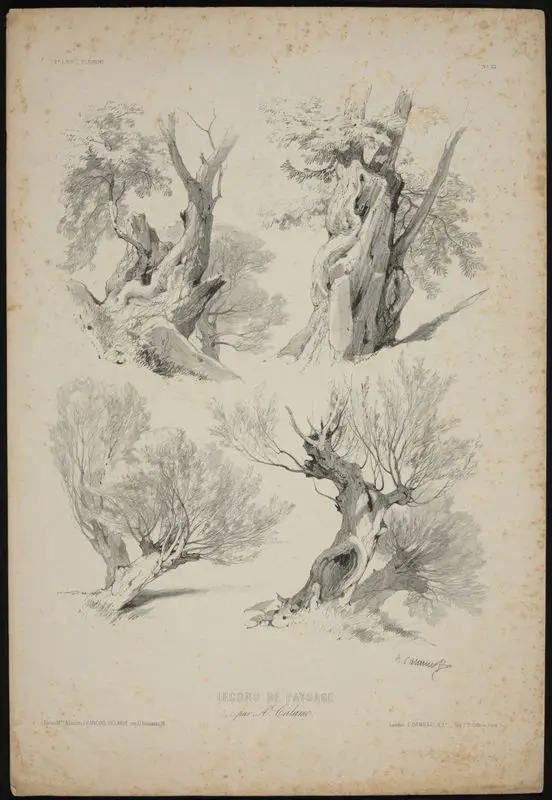 Lecons de paysage, No. 33 // [Landscape lessons, No. 33]. by Calame