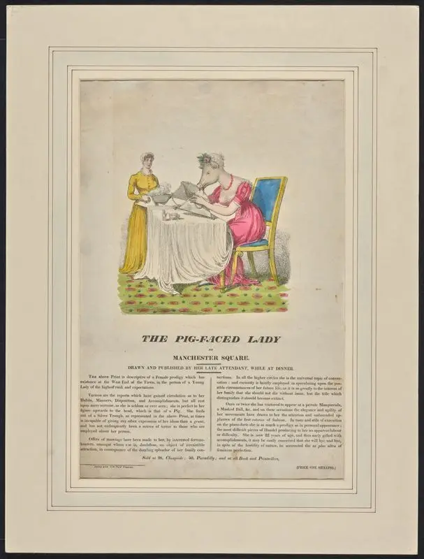 The pig-faced lady of Manchester Square : drawn and published by her late attendant, while at dinner. by Unknown artist