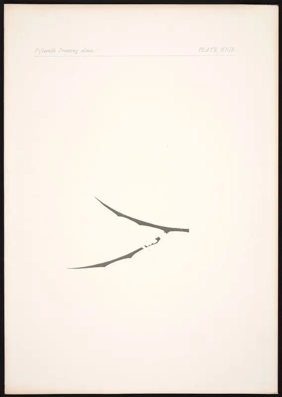 Plate XXIX: Fifteenth printing alone. by Gaulard