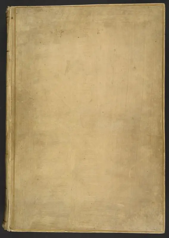 Confessio amantis by Gower