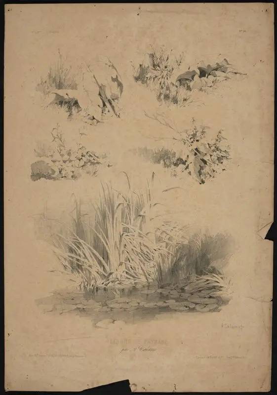 Lecons de paysage, No. 20 // [Landscape lessons, No. 20]. by Calame