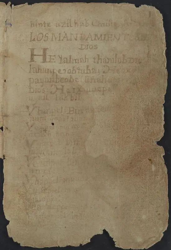 Doctrine and confession : manuscript, [17--]. by Unknown artist