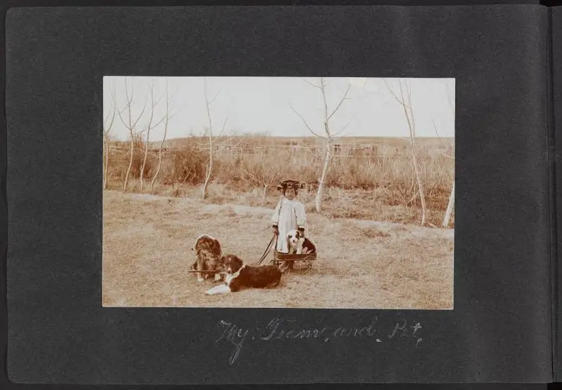 Montana photograph album : [photographs], 1890s by Unknown artist