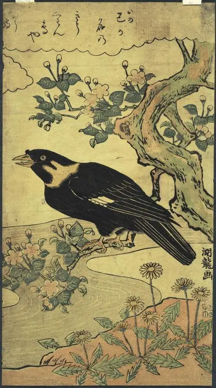 Myna bird perched on the branch of a flowering tree by Isoda, Koryūsai, active 1764-1788