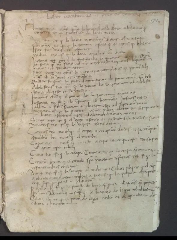 Humanistic miscellany. by Unknown artist