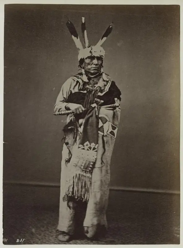 Little Bird, Yankton Dakota by Gardner, Alexander
