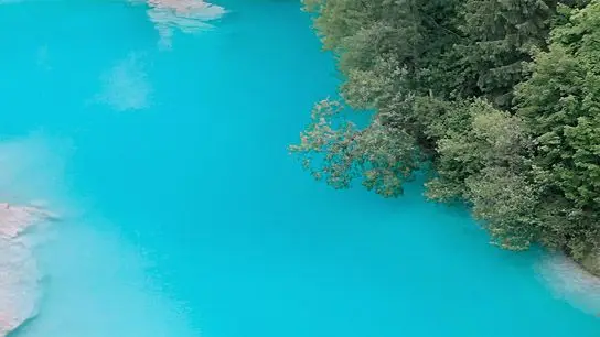 Still Life by Unknown artist