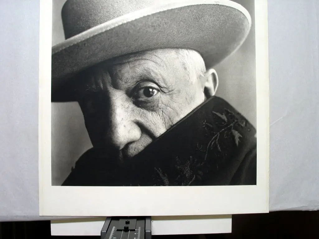 Picasso by PENN Irving
