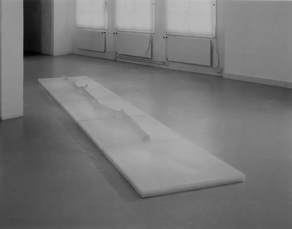 Propagazione by PENONE Giuseppe