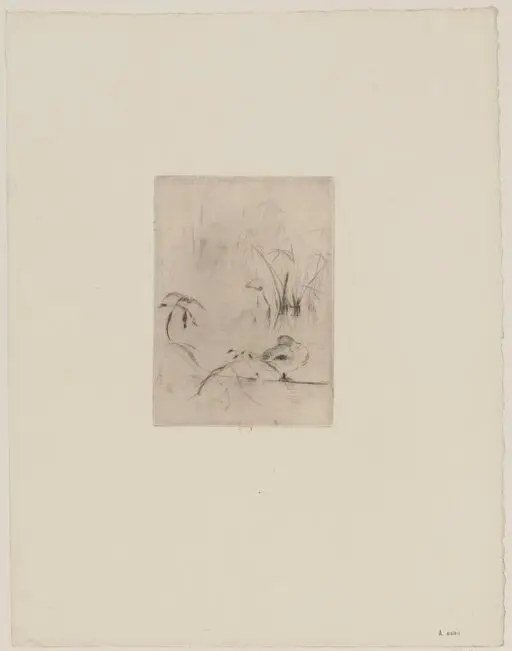 [Le canard] : [estampe] / [Berthe Morisot] by Morisot, Berthe