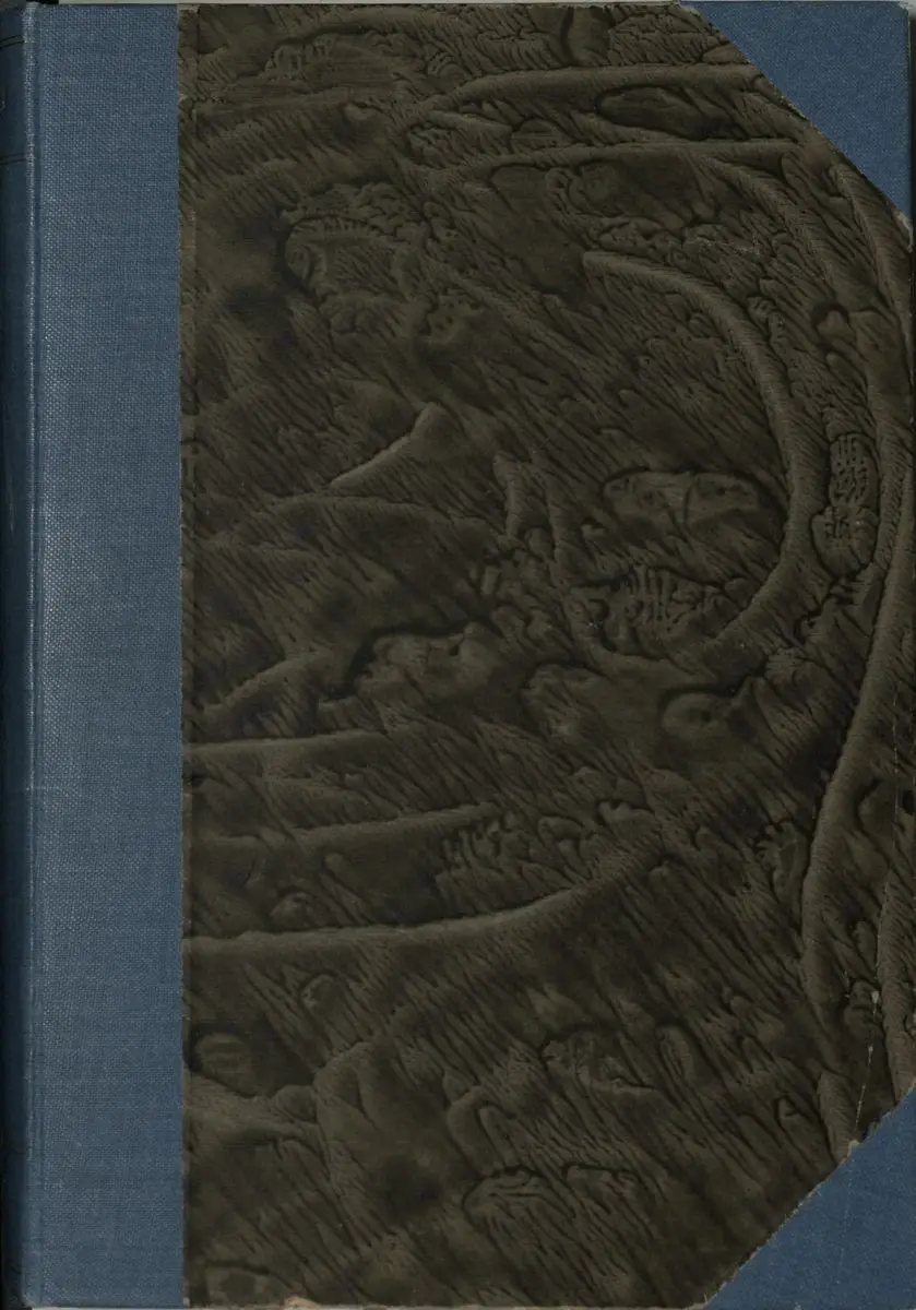 Bok by Unknown artist