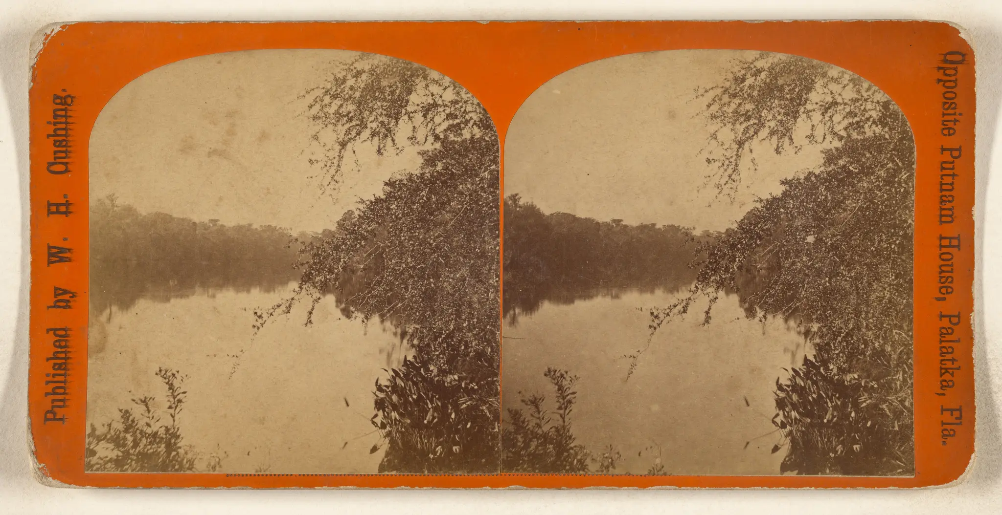 [View on the Ocklawaha River, Florida] by W. H. Cushing