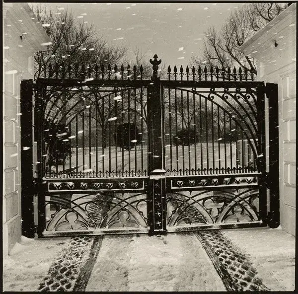 White House Gate, Washington, D.C. by Rosalind Solomon