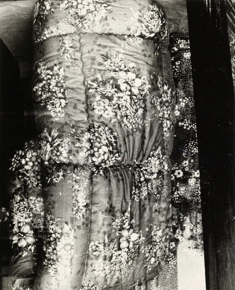 [Floral fabric backlit] by Daido Moriyama