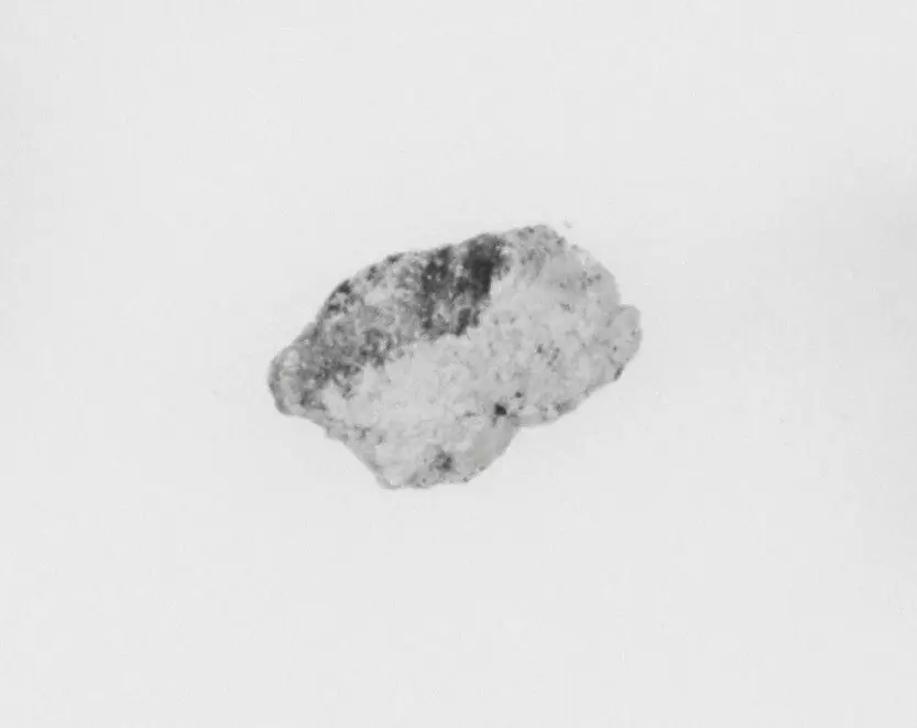 Ivory Fragment by Unknown