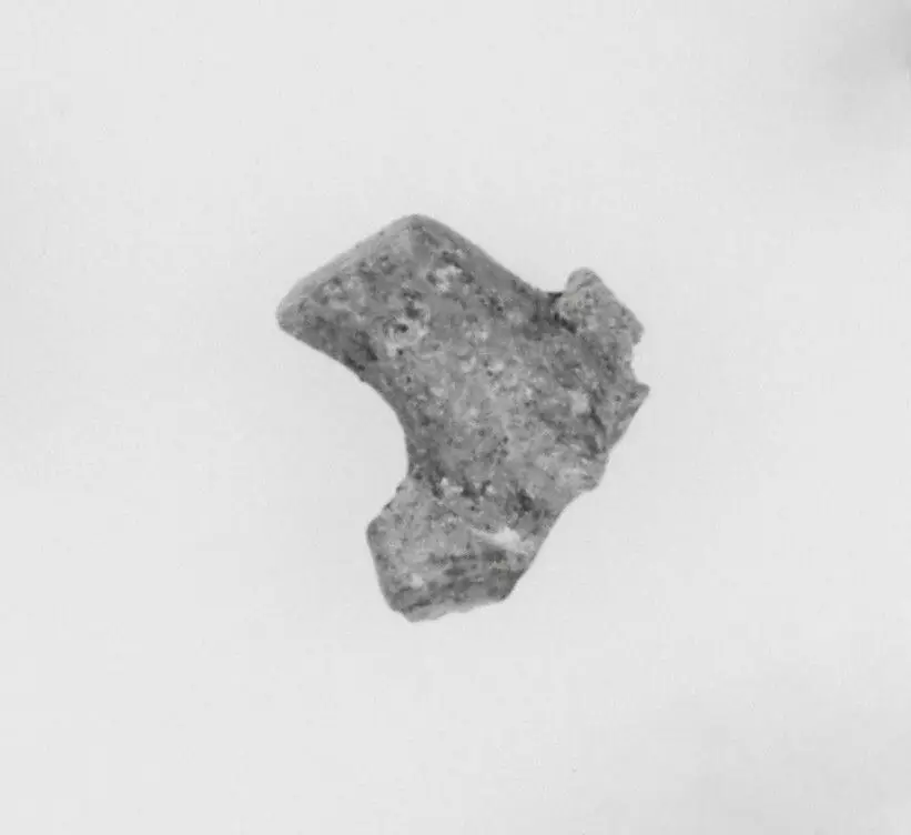 Ivory Fragment by Unknown