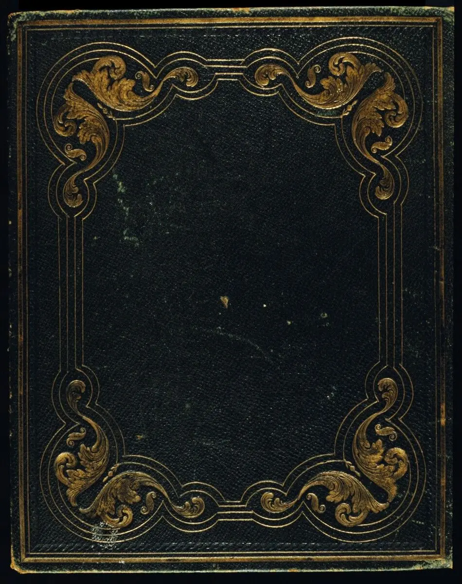 [Brewster Codex: portraits, views, group portraits, etc. with drawings, compiled by Sir David Brewster. by Sir David Brewster; William Henry Fox Talbot