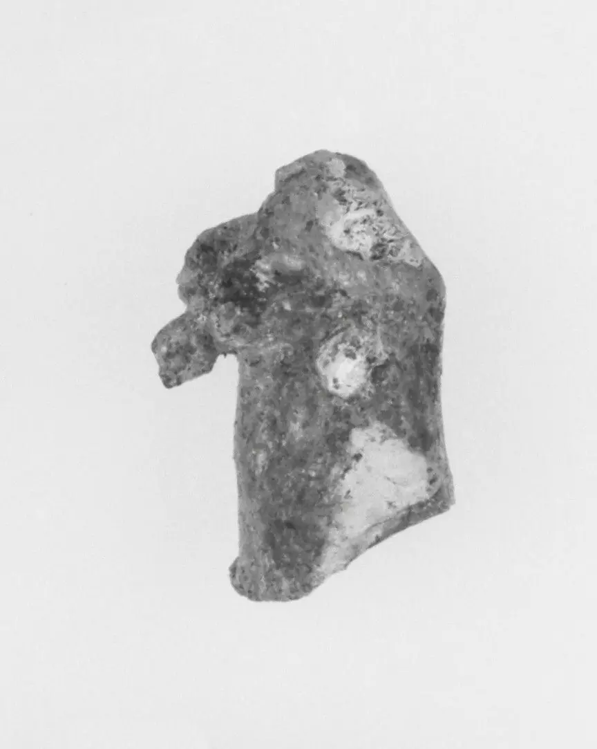 Ivory Fragment by Unknown