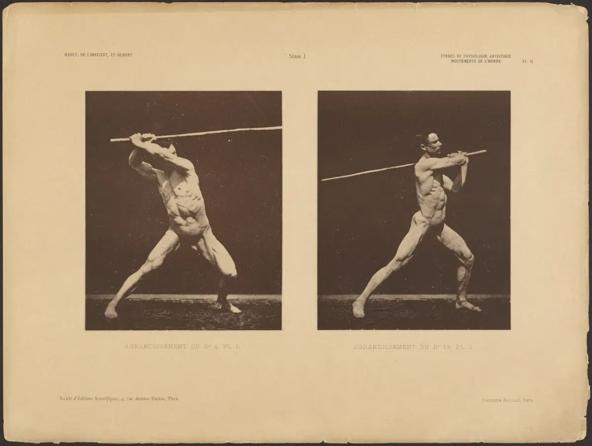 Enlargement No. 4, plate 1/ Enlargement No. 13, Plate 1 by Étienne Jules Marey