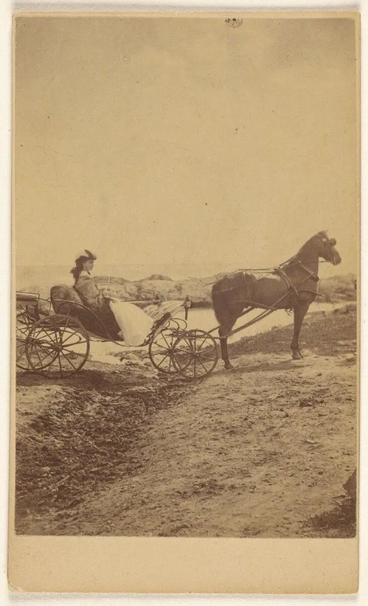 [Unidentified woman seated in a horse-drawn carriage] by George P. Critcherson