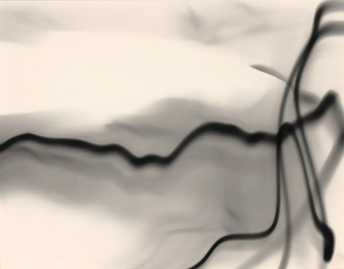Sin tire by Dora Maar