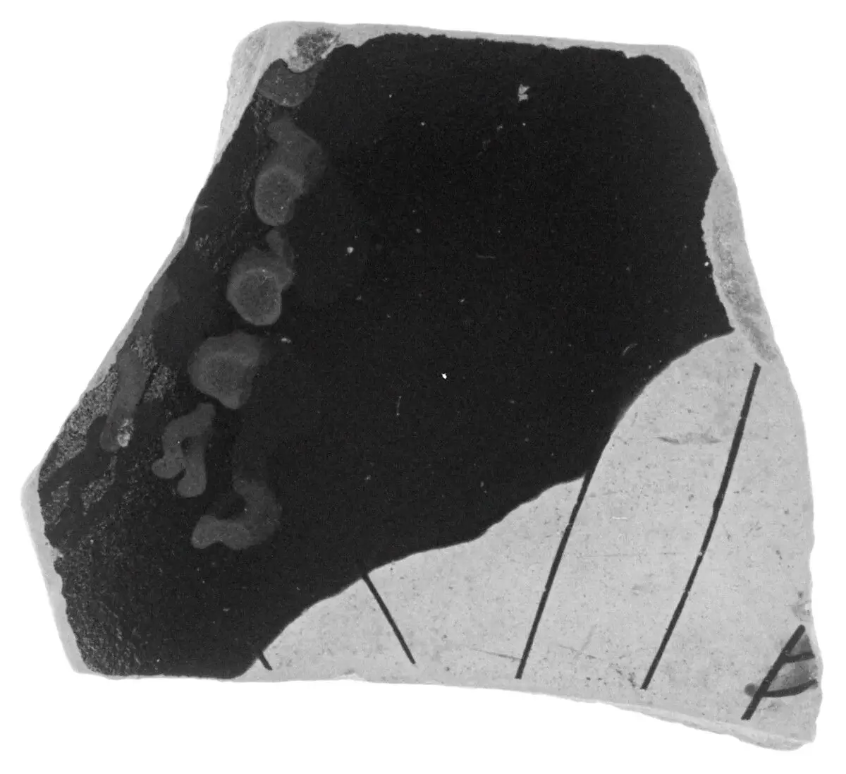 Attic Black- and Red-Figure Vase Fragments (55) by Unknown