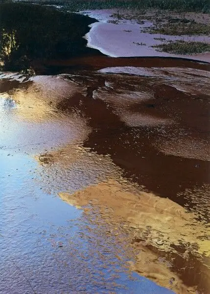 Reflections in Pool, Escalante River, Utah by Eliot Porter