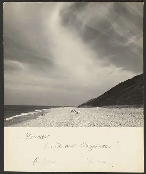 [Beach landscape] by Andreas Feininger