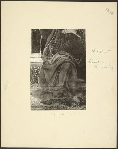 [Detail from Baldovinetti's Annunciation] by Clarence Kennedy