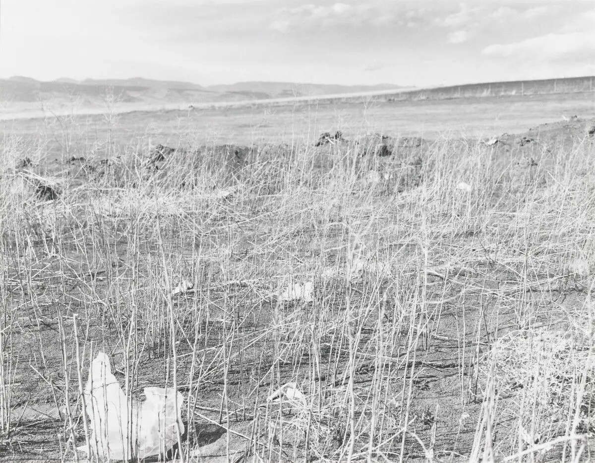 Boulder County, Colorado by Robert Adams