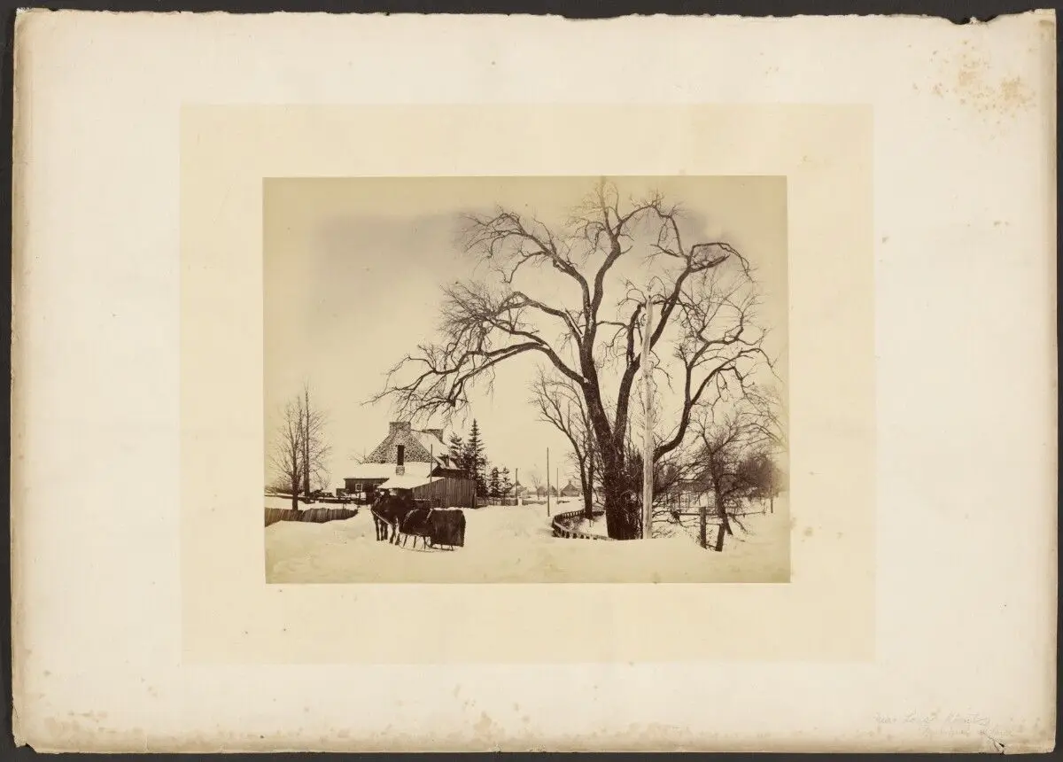 Near Long Points, Montreal Island by Alexander Henderson