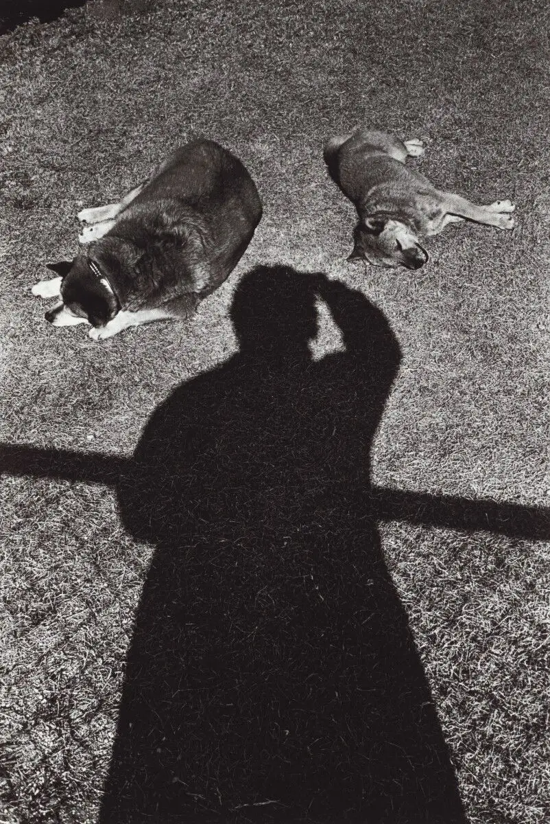 Shadow, Osaka by Daido Moriyama