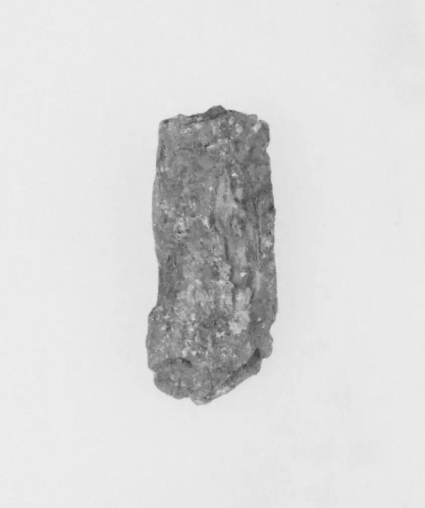 Ivory Fragment by Unknown