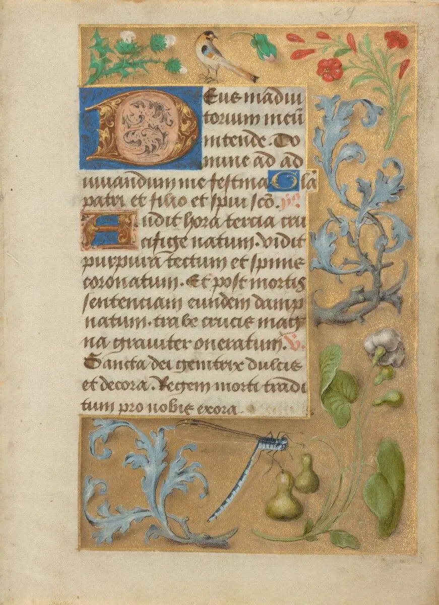 Leaf from a Book of Hours by Unknown
