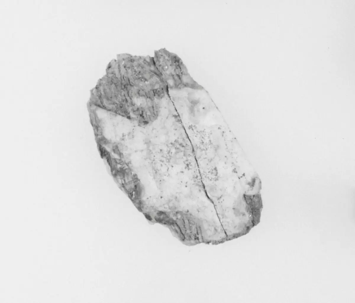 Ivory Fragment by Unknown