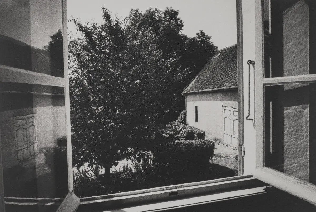 Untitled No. 18 by Daido Moriyama