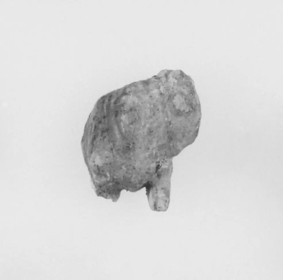 Ivory Fragment by Unknown