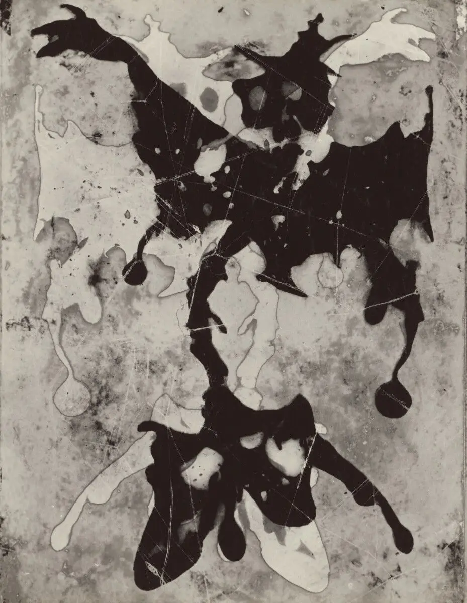 The Grand Gesture by Heinz Hajek-Halke