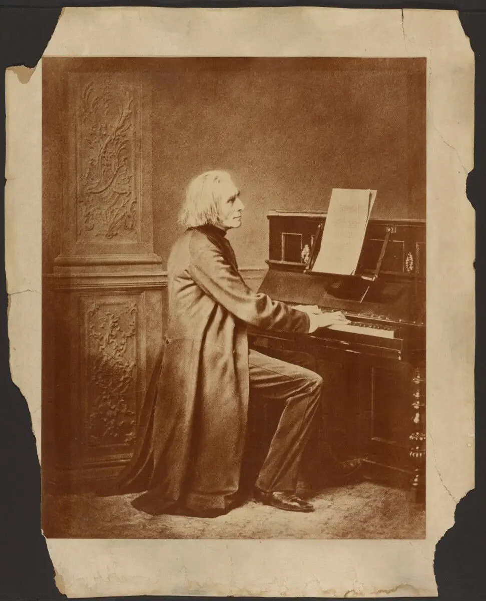 Franz Liszt by Franz S. Hanfstaengl