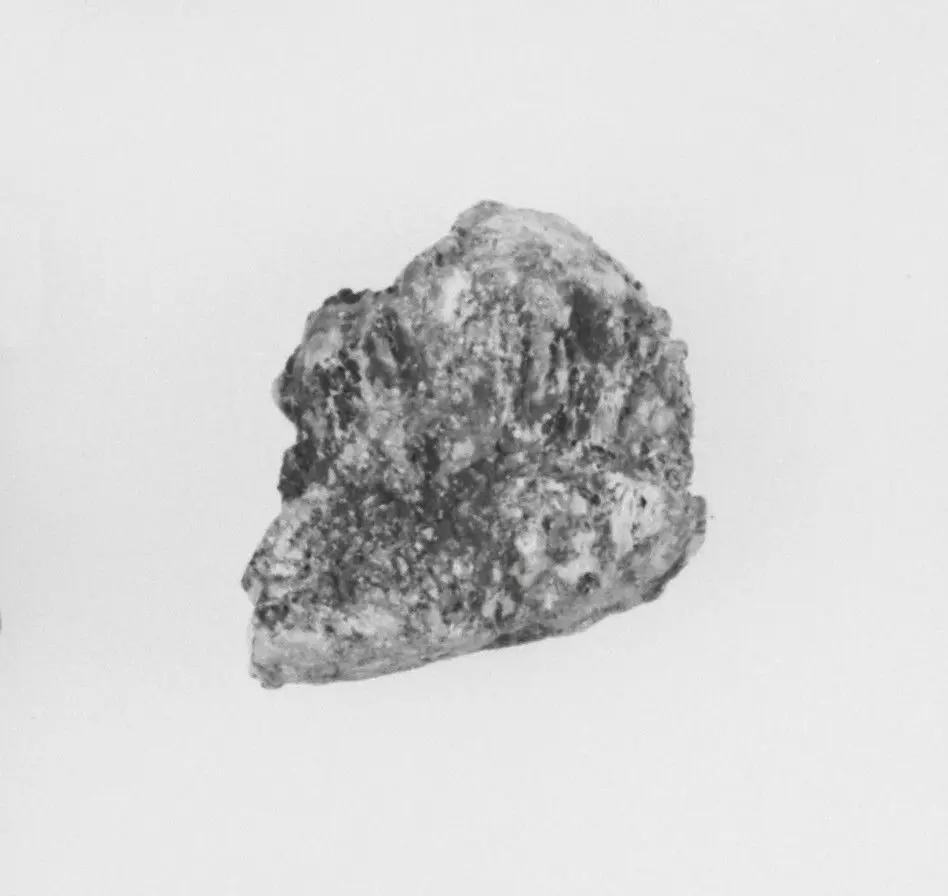 Ivory Fragment by Unknown