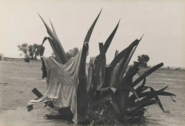 Mexico City by Helen Levitt