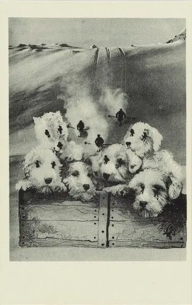 Senile Melancholy of Dogs Like a Dizzy Ski-Glide by Salvador Dali; Dora Maar