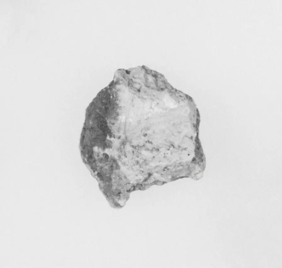 Ivory Fragment by Unknown