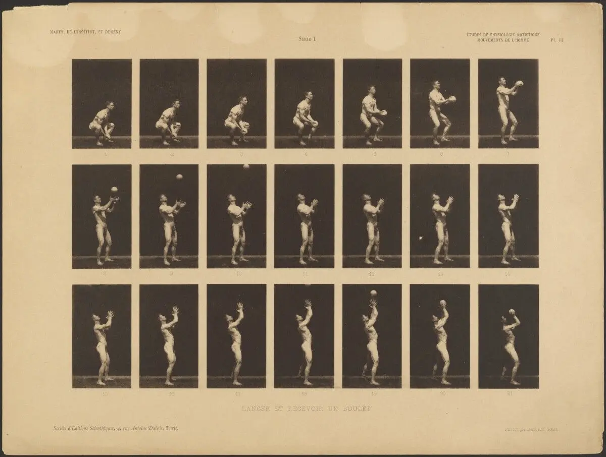 Throwing and Catching a Ball by Étienne Jules Marey