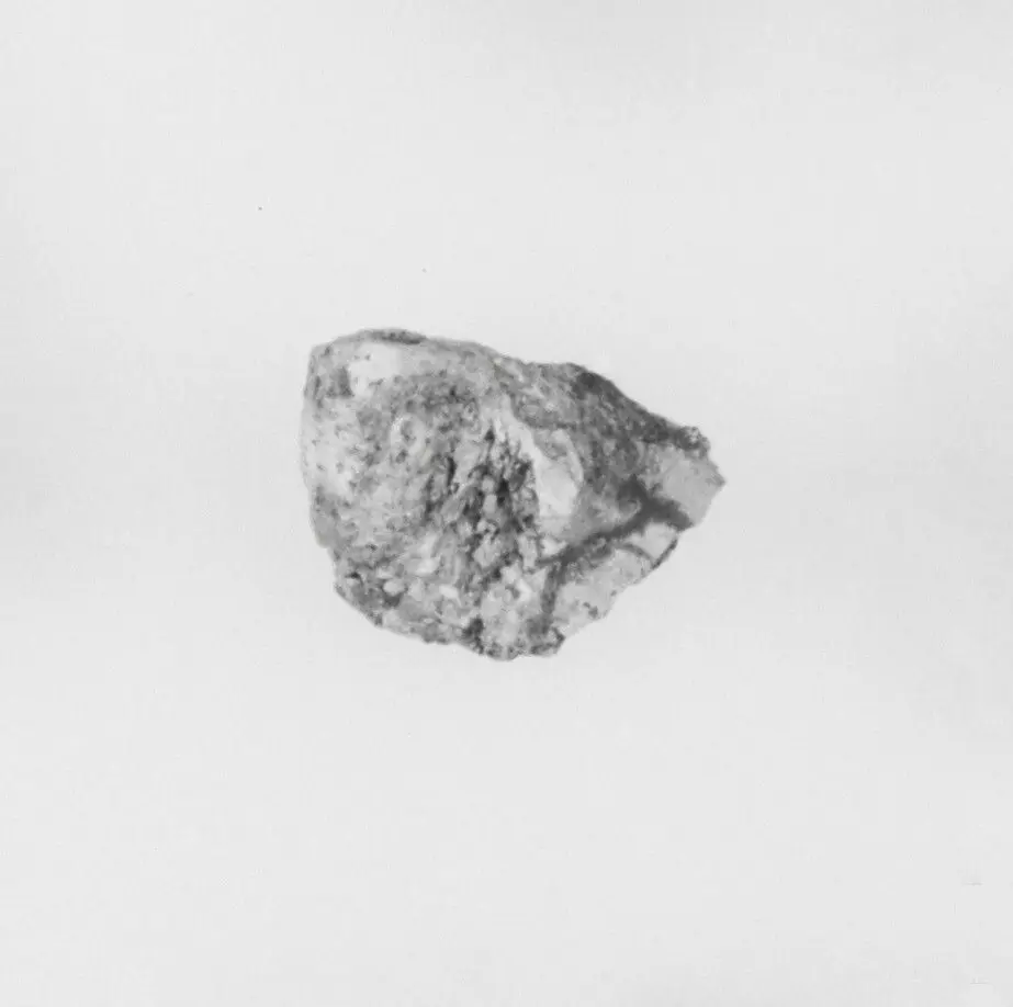 Ivory Fragment by Unknown