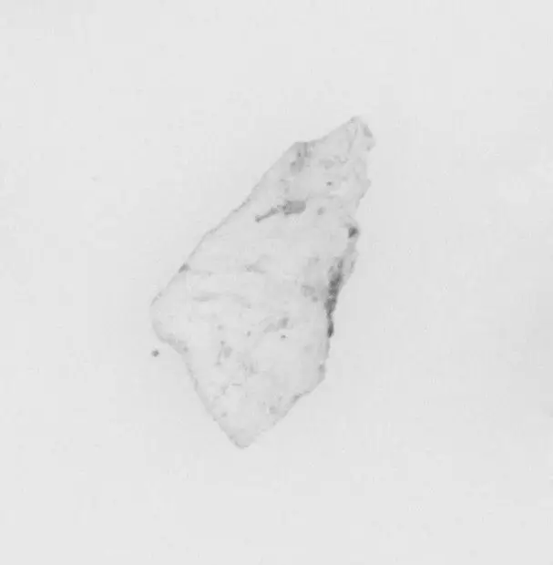 Ivory Fragment by Unknown