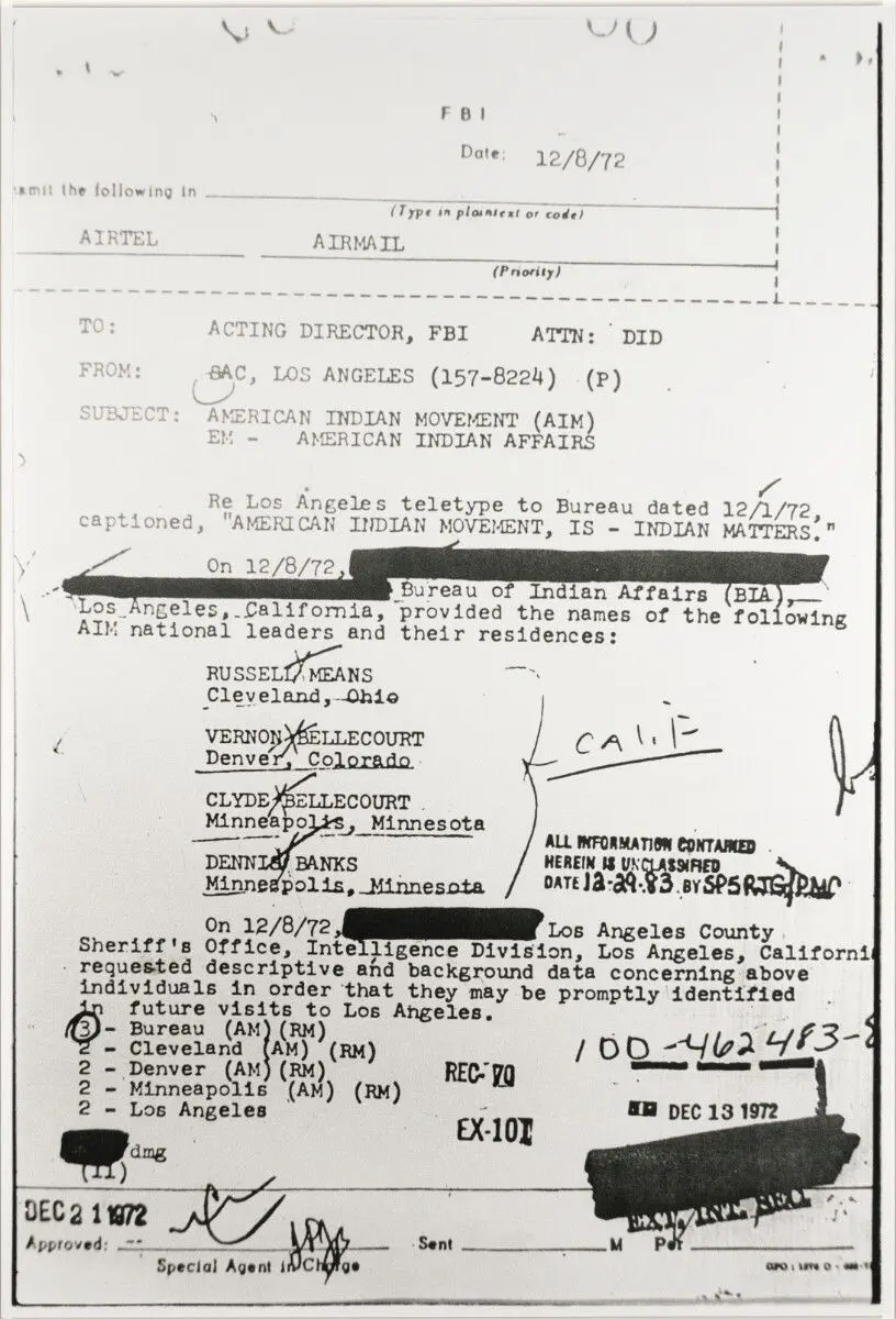 AIM #4 by Dana Claxton