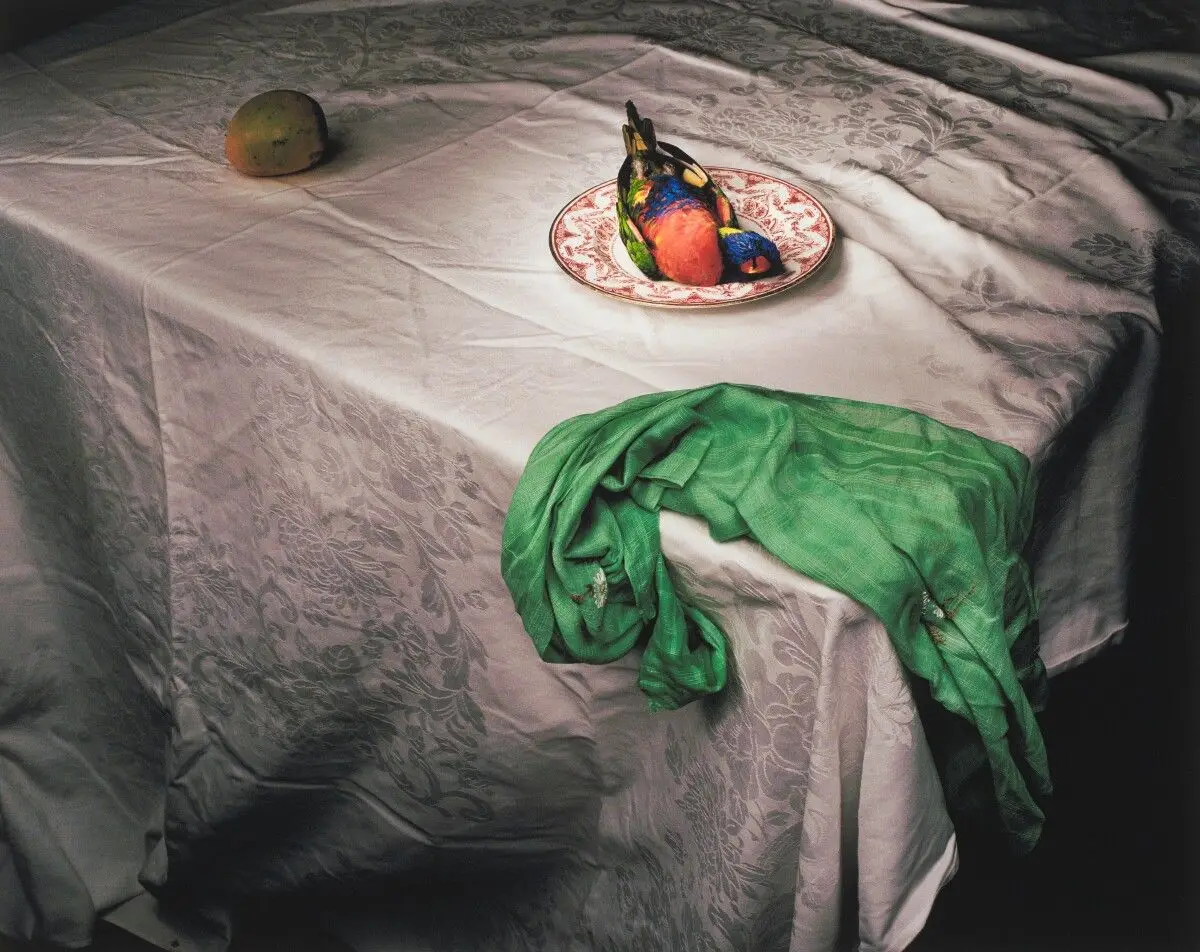 Lorikeet with Green Cloth by Marian Drew